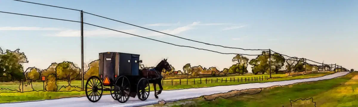 The Pennsylvania Flyover - Amish Horse And Buggy